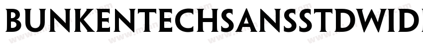 BunkenTechSansStdWide SeBd字体转换